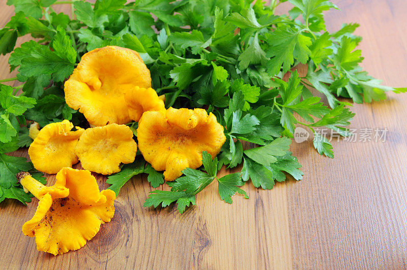 金鸡油菌(cantharelus cibarius)与欧芹